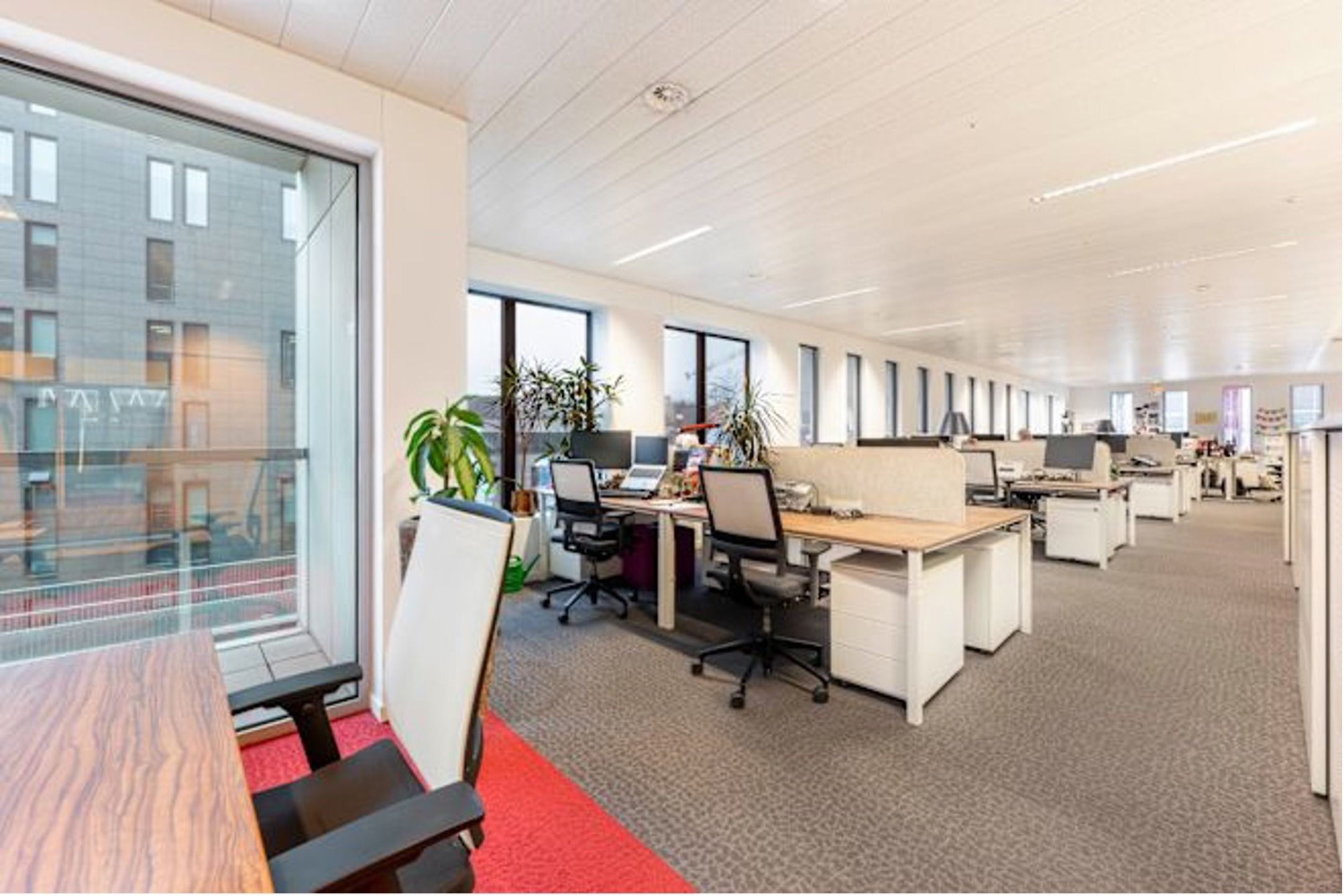 ANTWERP NORTH OFFICES: Kantoor met Uitstekende Zichtbaarheid foto 5