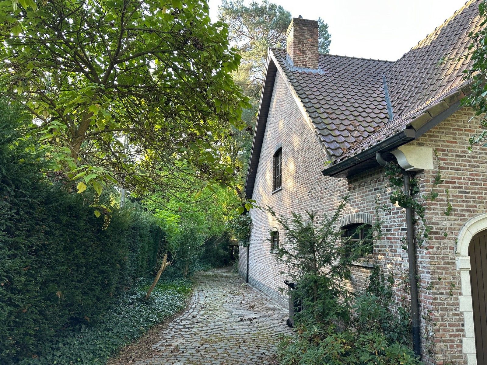 Villa met 5 slaapkamers te RIJMENAM foto 9