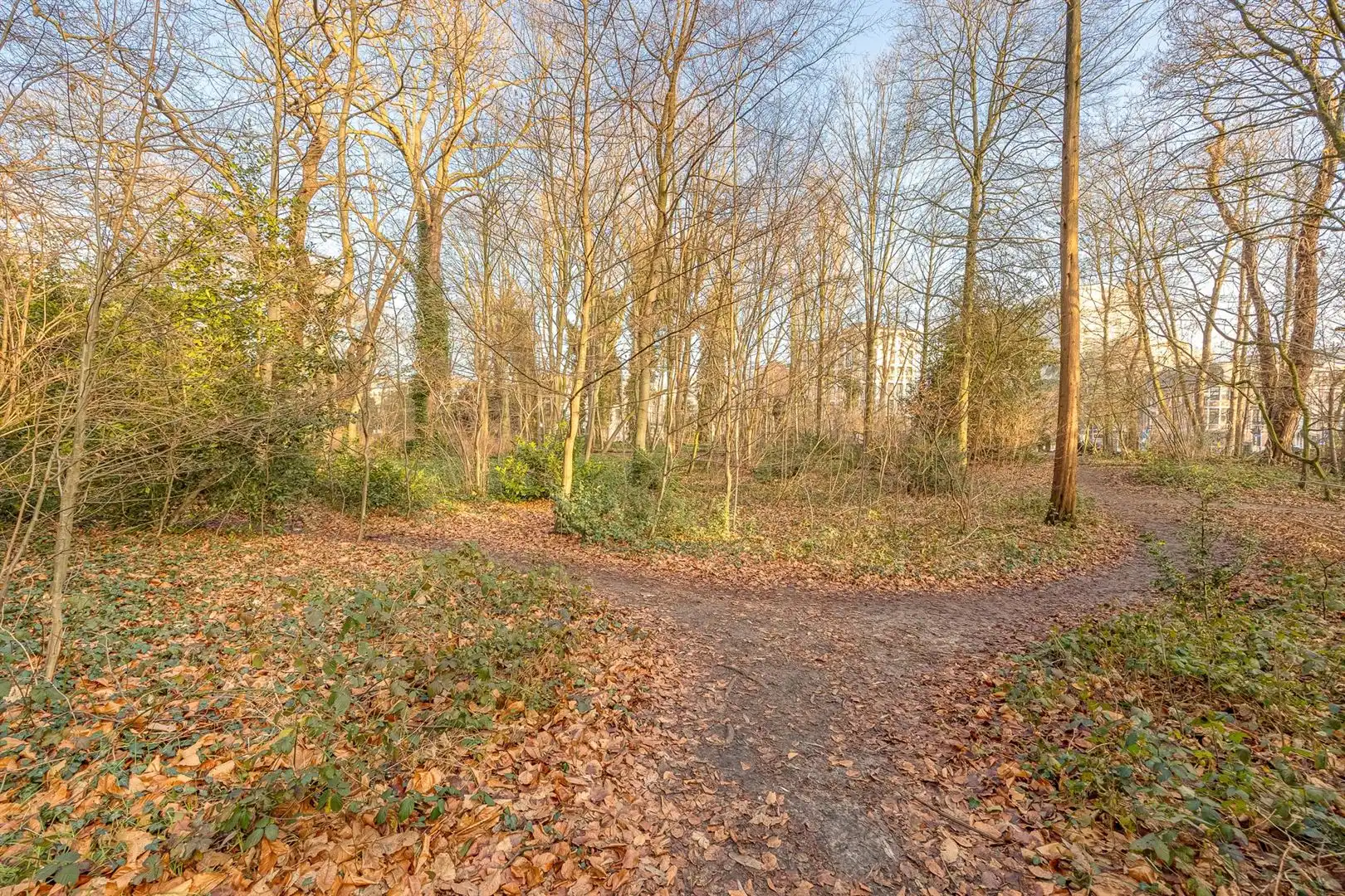 Wonen tussen park en stad foto 15