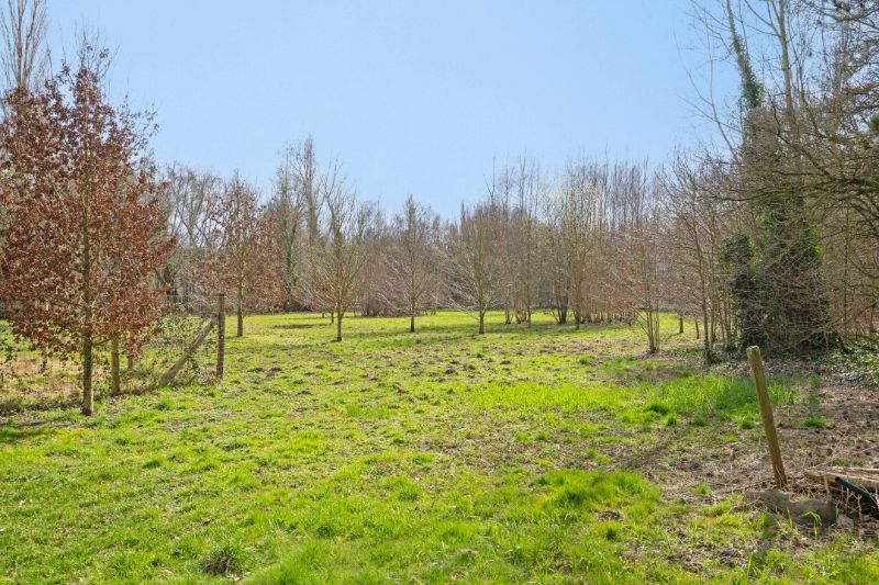 TE KOOP – Uniek stuk bouwgrond in de bossen van Lembeke – >15.000 m² foto 5