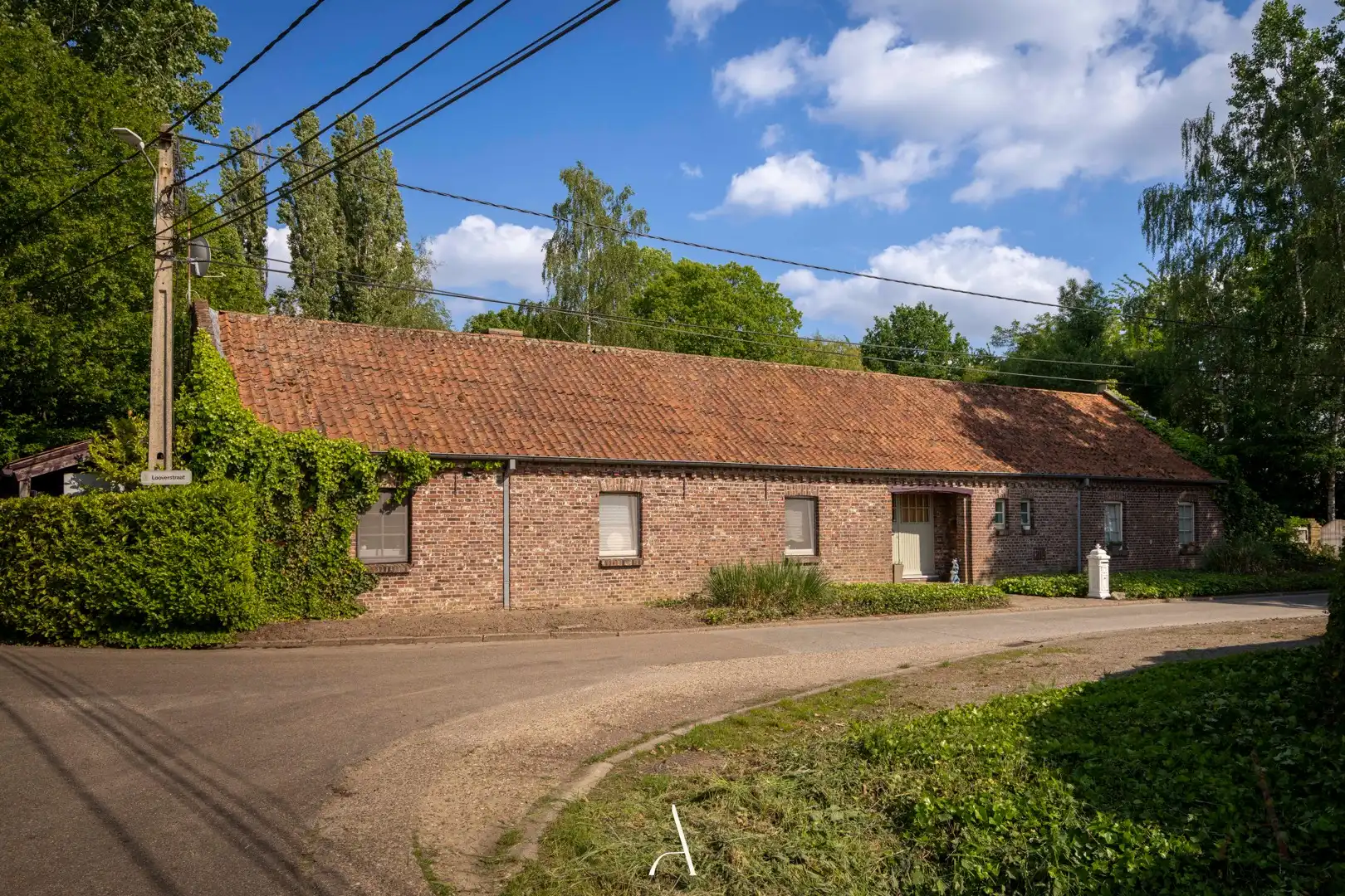 Authentieke langegevelhoeve op ruim 1 hectare in landelijke omgeving van Molenbeersel foto 4