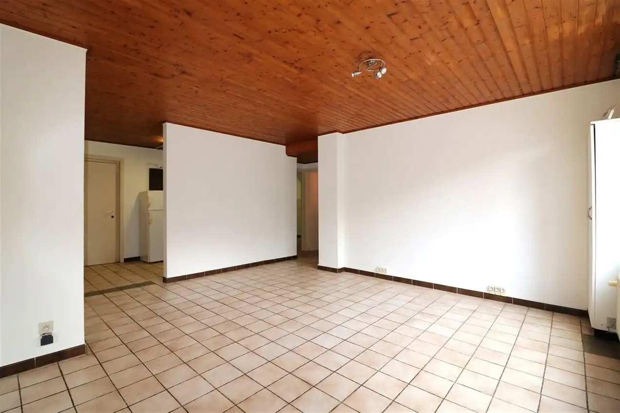 charmant, ruim, mogelijkheid beroep of kangoeroe foto 51