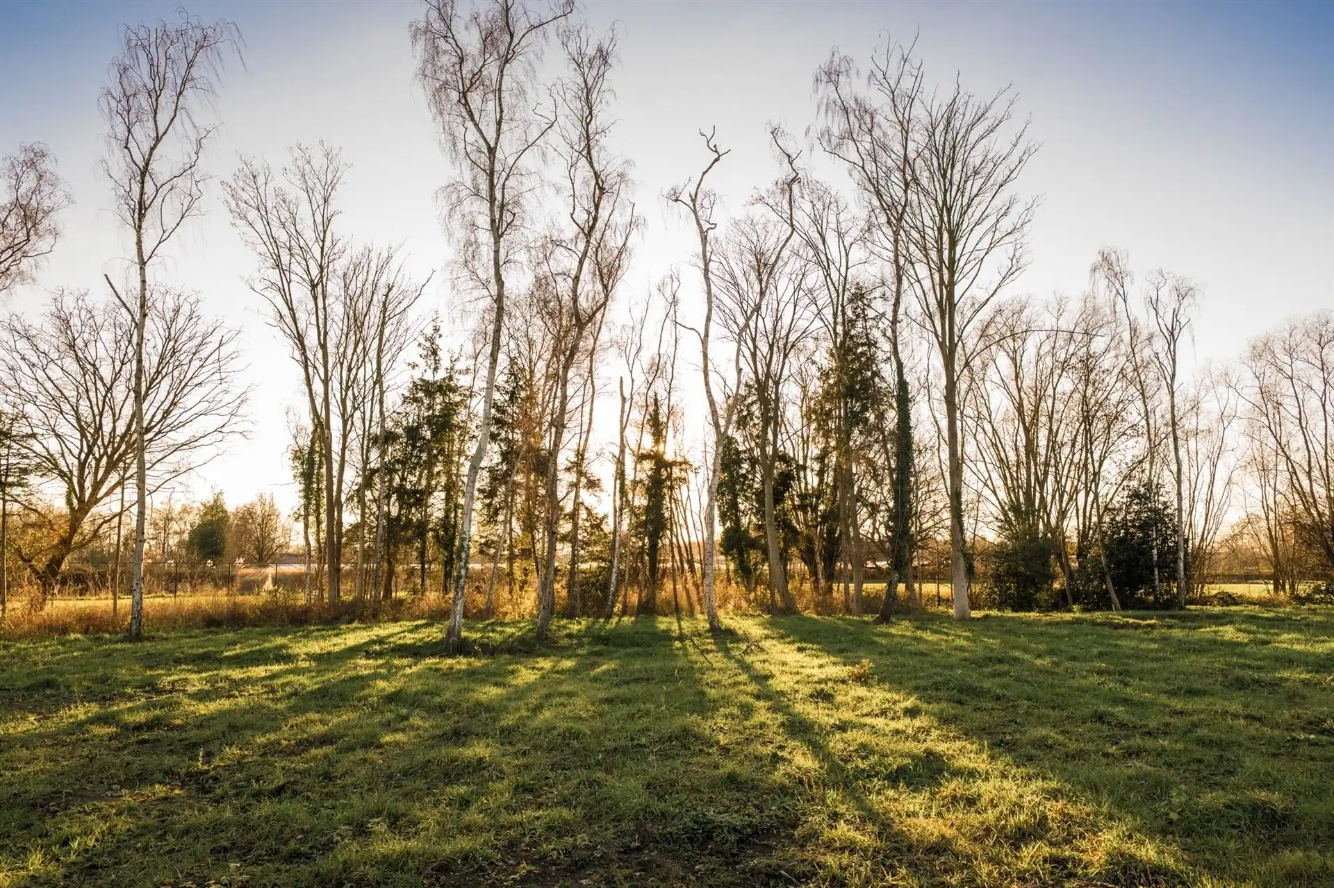 Ruime HO-nieuwbouwwoning met 4 slpkms in Sint-Katelijne-Waver foto 17