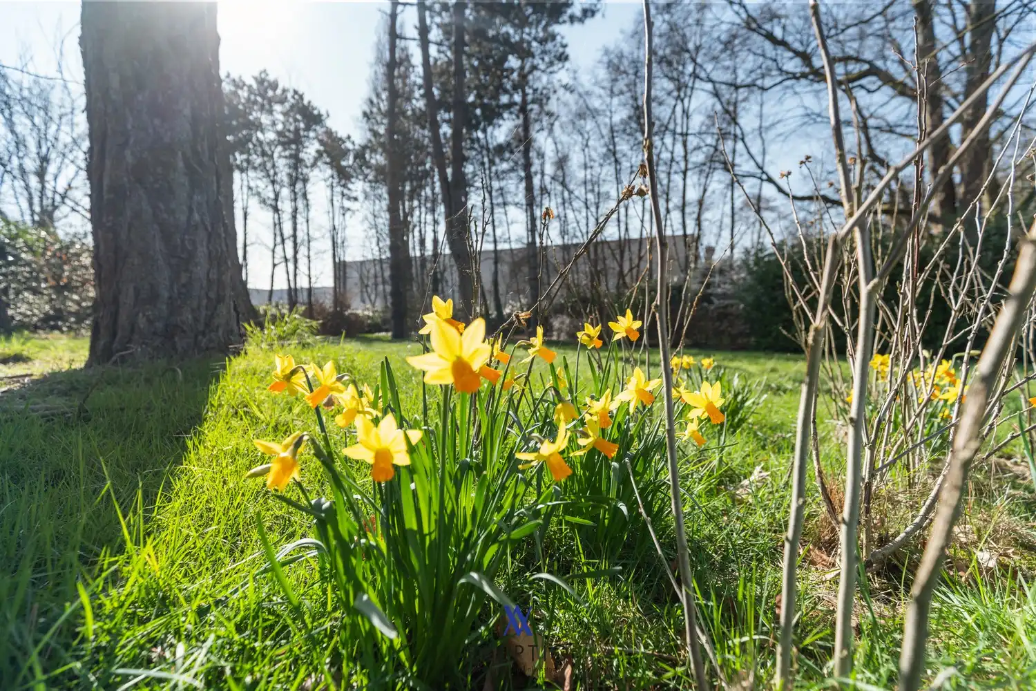 Ruim perceel van ca. 2.509 m² met mogelijkheden foto 5