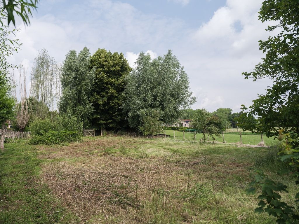 Dikkelvenne – Terrein van 2.179 m² met op heden nog een te renoveren hoeve, omgeven door groen en weides. foto 26