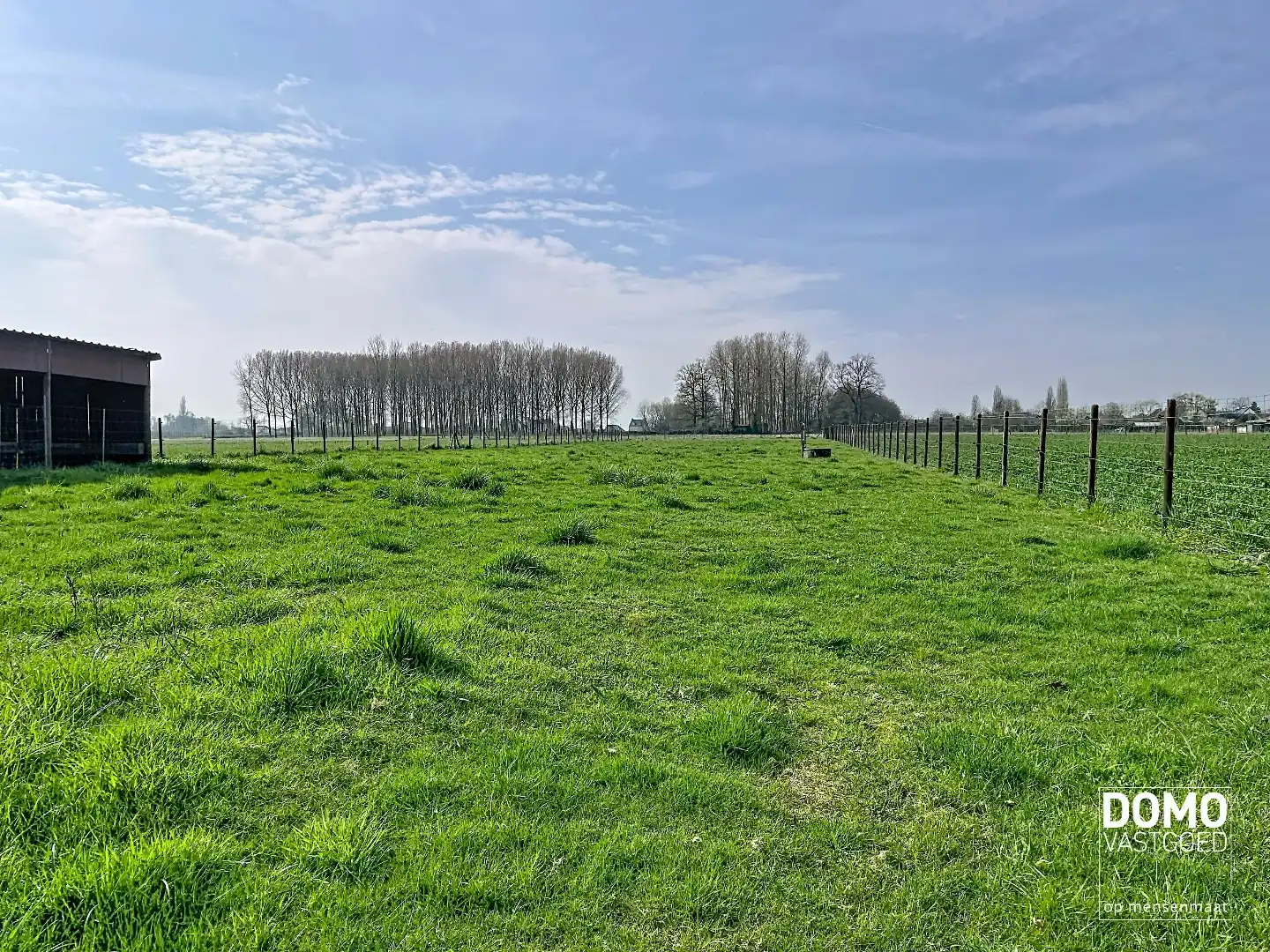 Ruime woning met weiland te koop te Alken foto 30