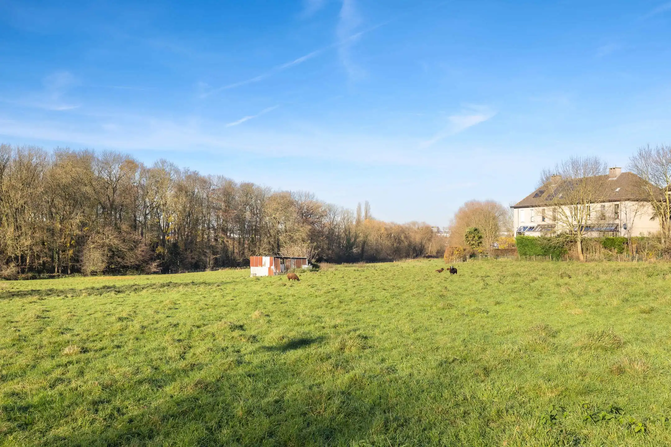 Bouwgrond @ Sint-Agata-Berchem foto 10