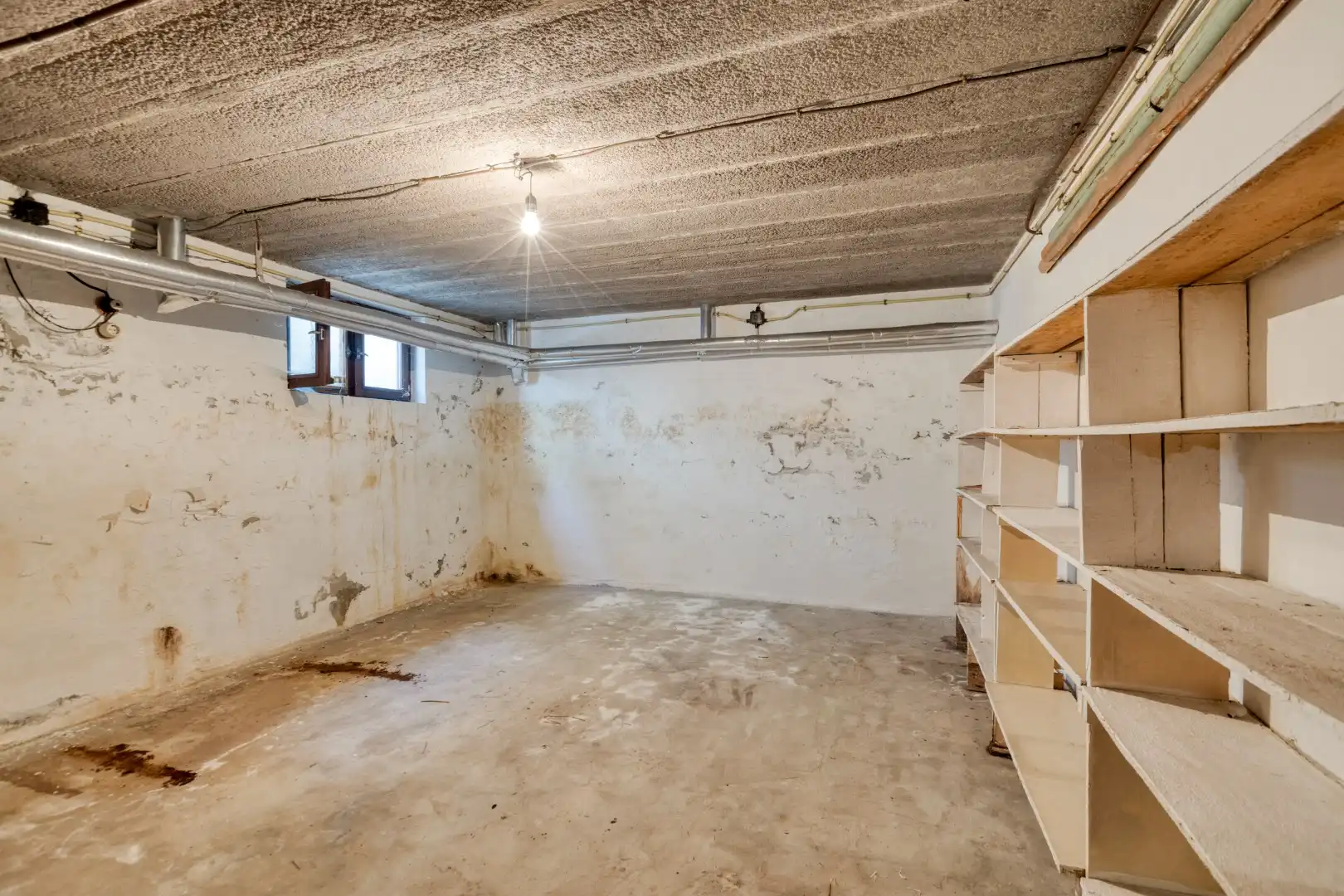 Rustig gelegen gelijkvloerse woning met 4 slpks op wandelafstand van het centrum van Mol !  foto 24