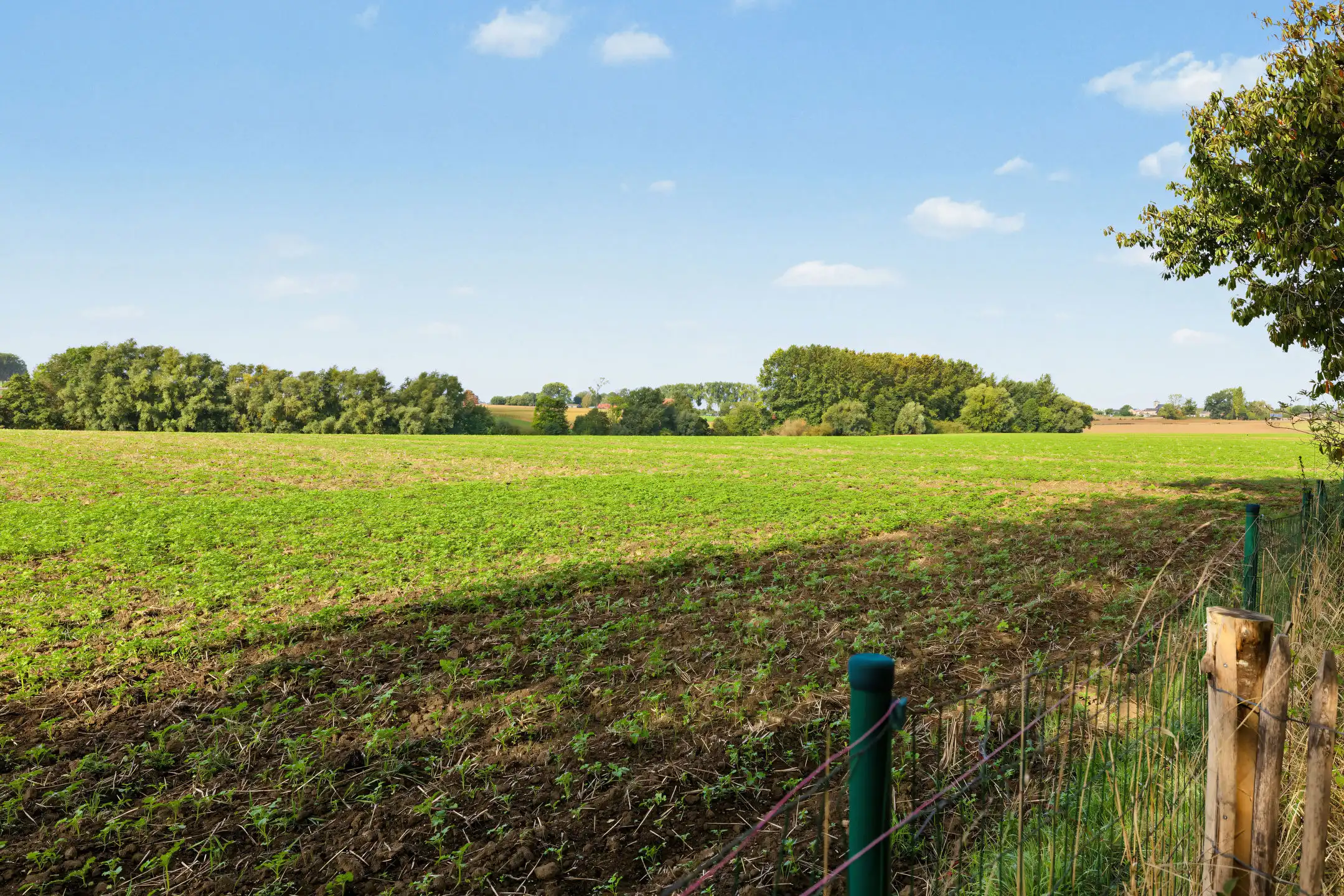 Charmant en instapklaar landhuis met prachtige tuin op 20a foto 40