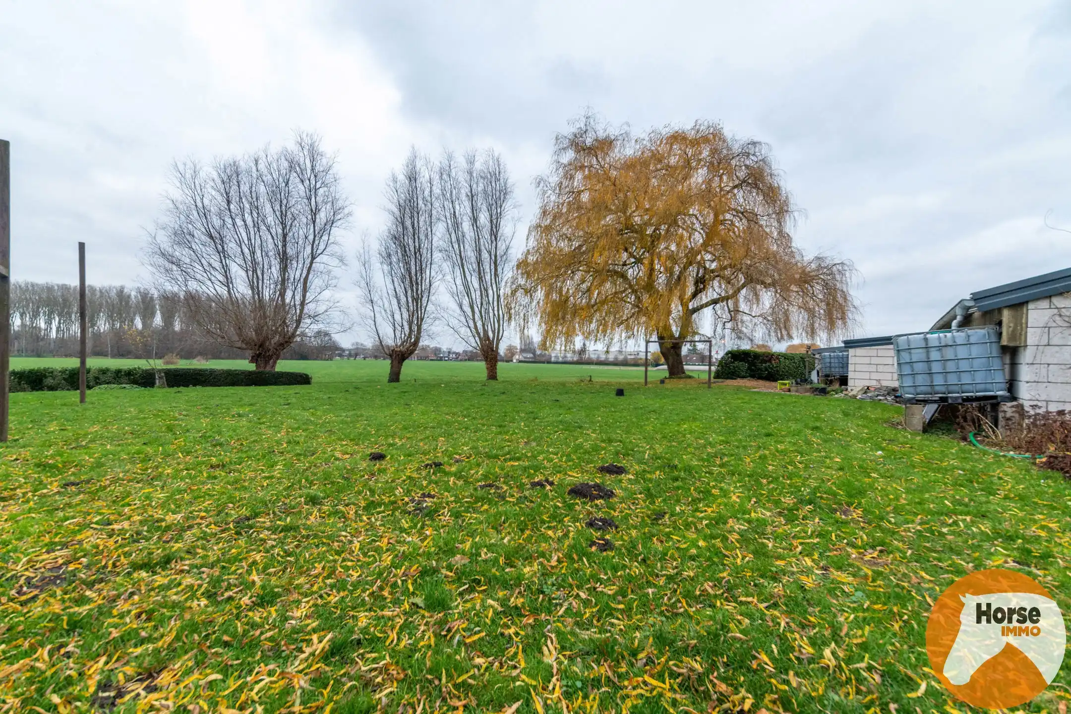 SCHELLE - Centraal gelegen ruime woning met loods en weides  foto 13