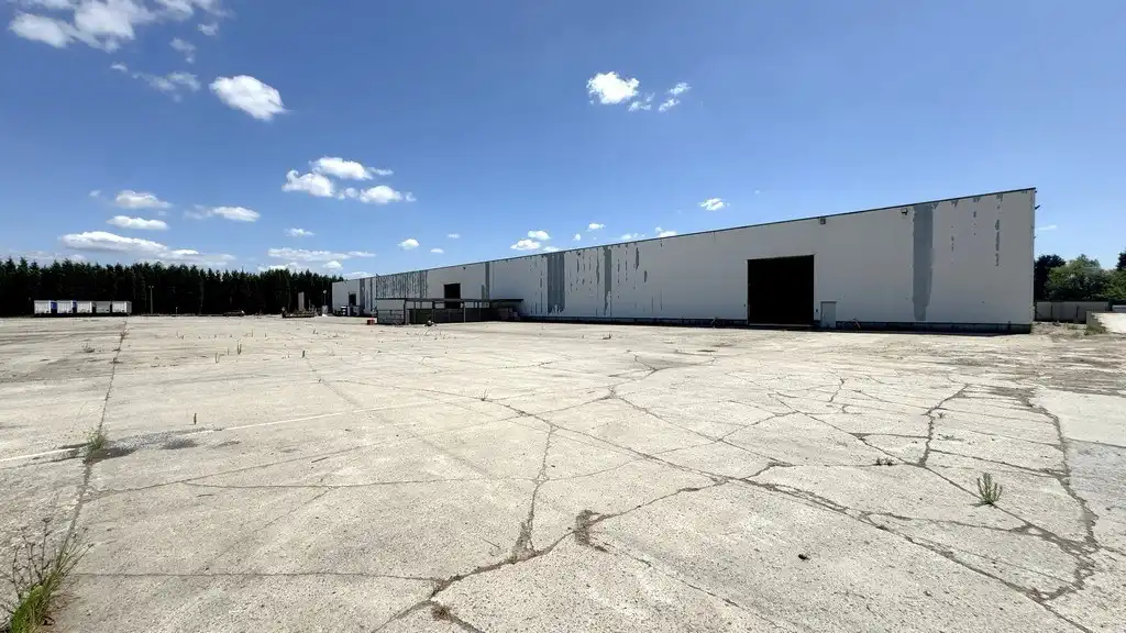 Loods met 1 hectare buitenopslag te huur in Rumst foto 9