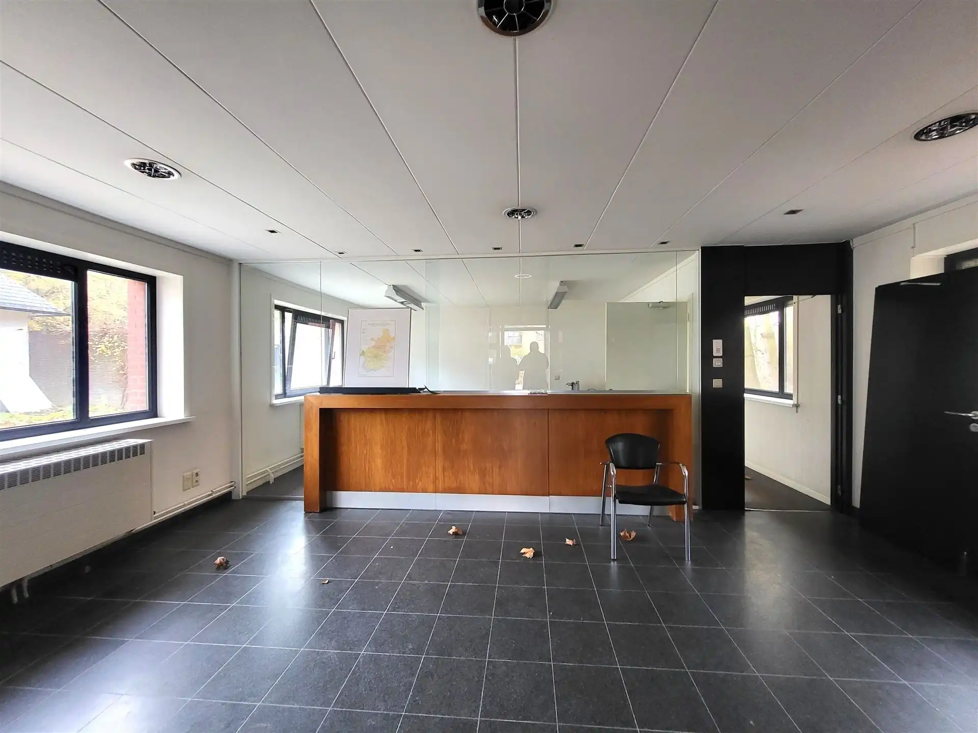 Villa met professionele opslagruimte, kelder en kantoorruimtes. foto 22