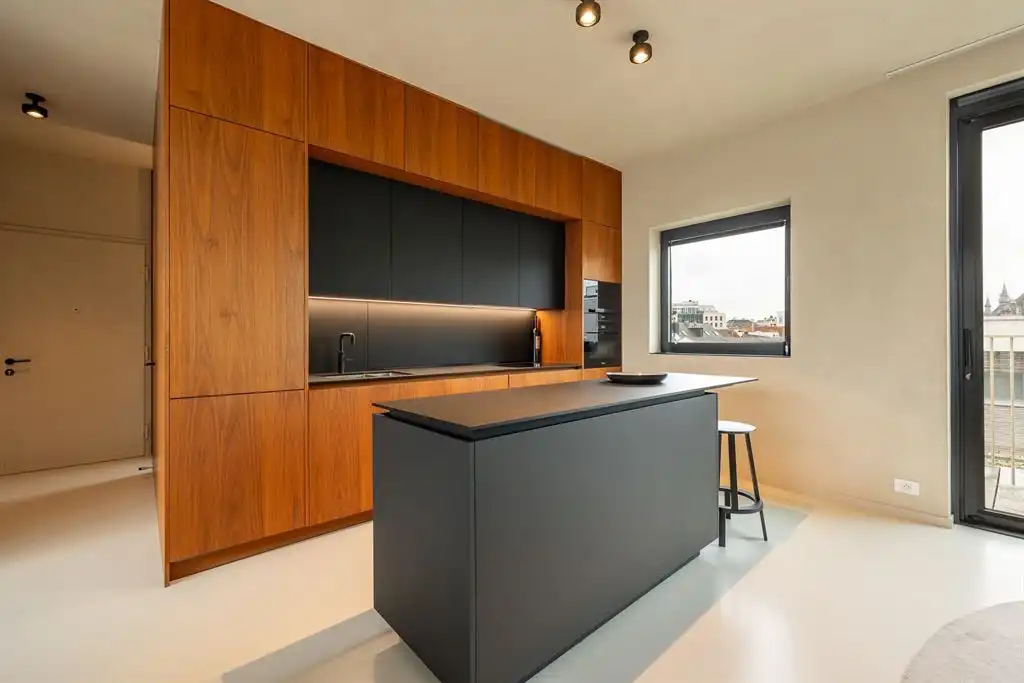 Luxe penthouse in historisch centrum Antwerpen foto 10