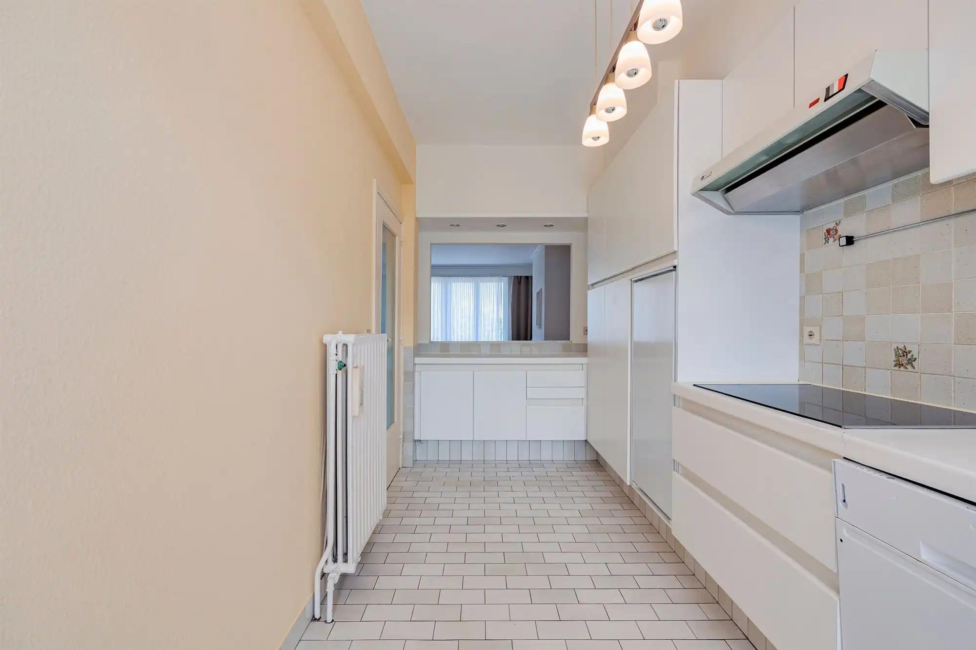 Ruim 1 slpk appartement. Parking mogelijk foto 10