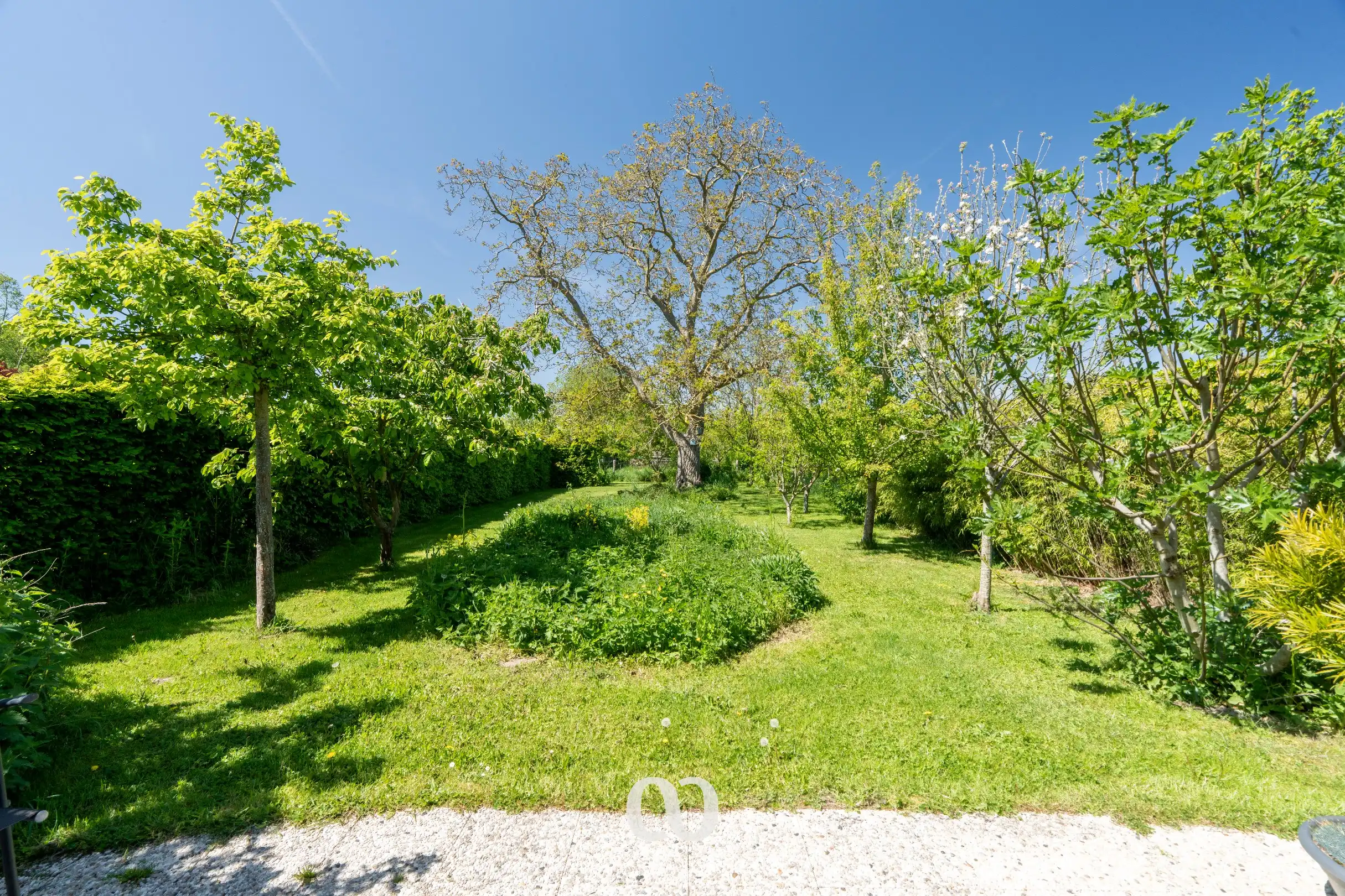 Leuke woning op topligging aan het Wallebos in Oudenaarde foto 21