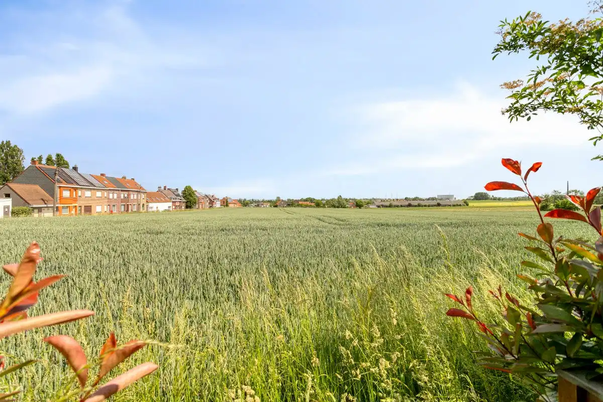 Gezinswoning met tuin en veel potentieel te koop in Aalbeke foto 3