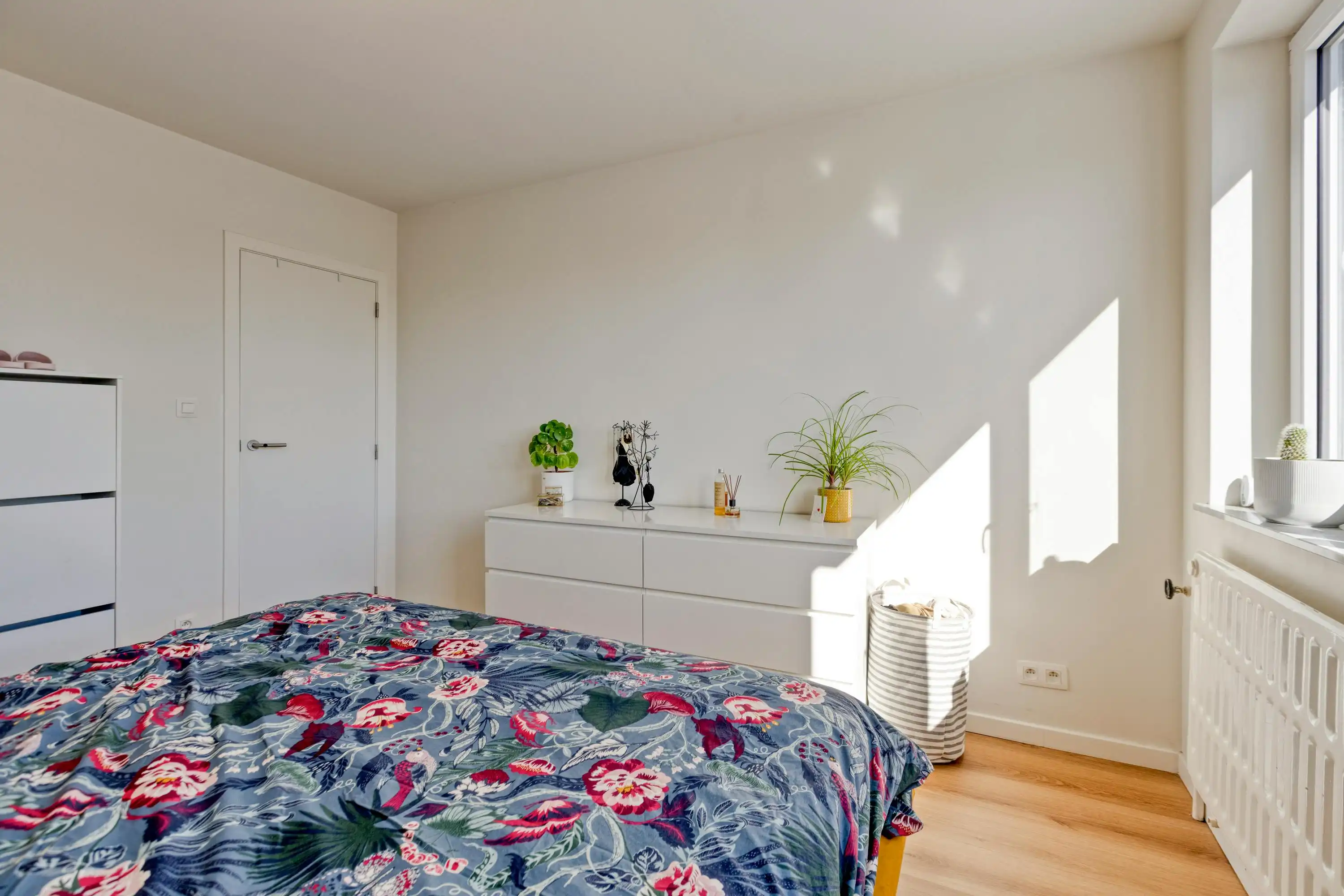 2-slaapkamer appartement met zuidgericht terras in Hasselt foto 9