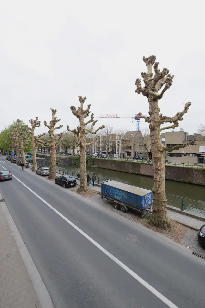 Charmante stadswoning met karakter en veel licht nabij het water in Gent foto 20