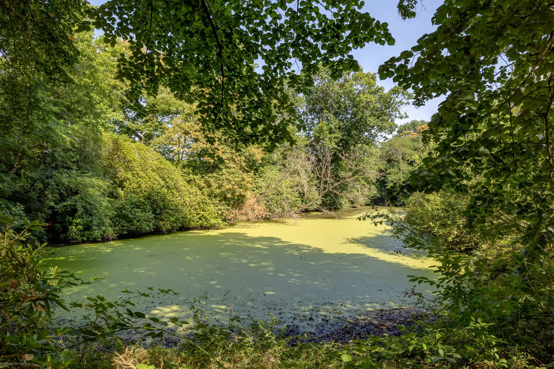 Superbe en karaktervolle villa in een prachtig parkdomein  foto 14