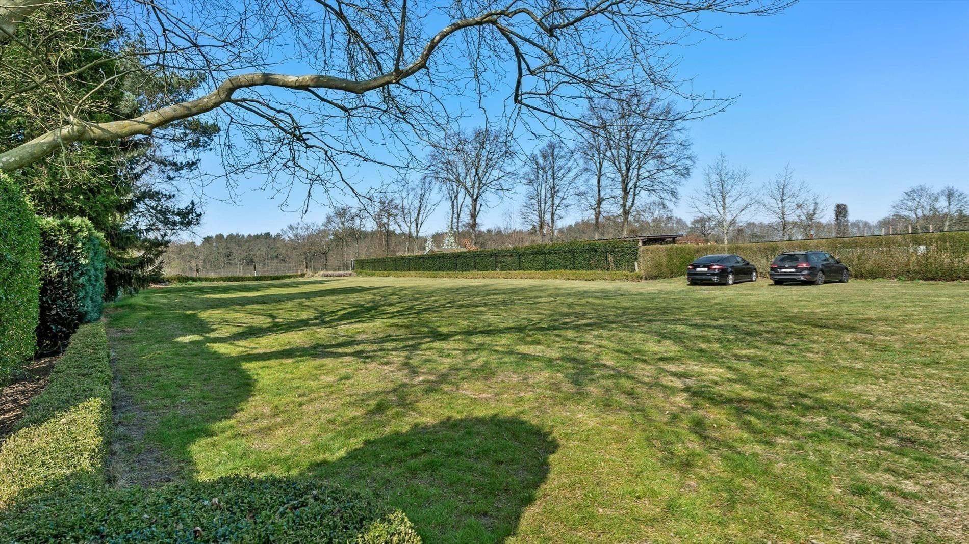 4000 m² grond met Feestzaal en woning  foto 17