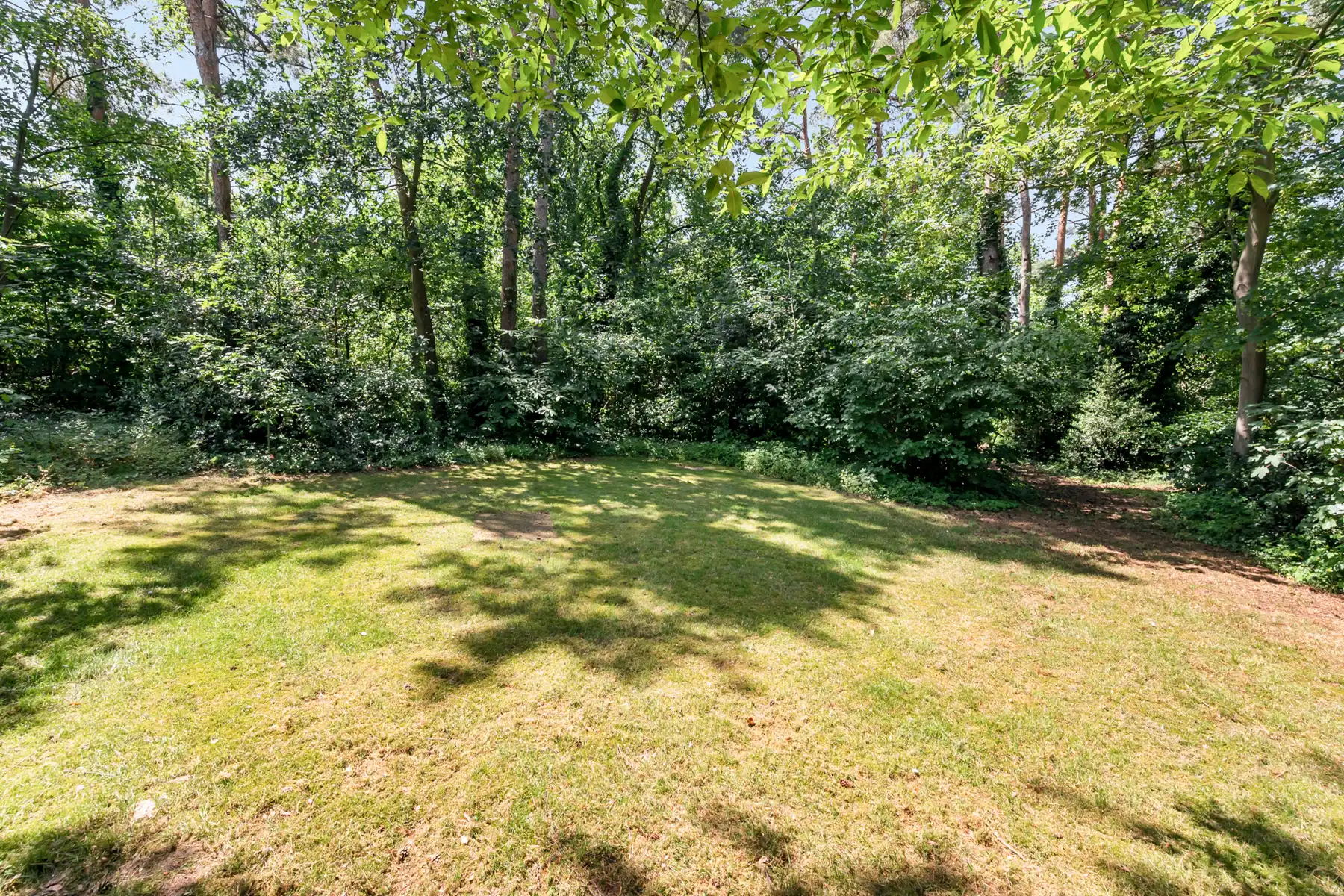 Villa op bos- en natuurdomein van 5056 m² in villawijk foto 19