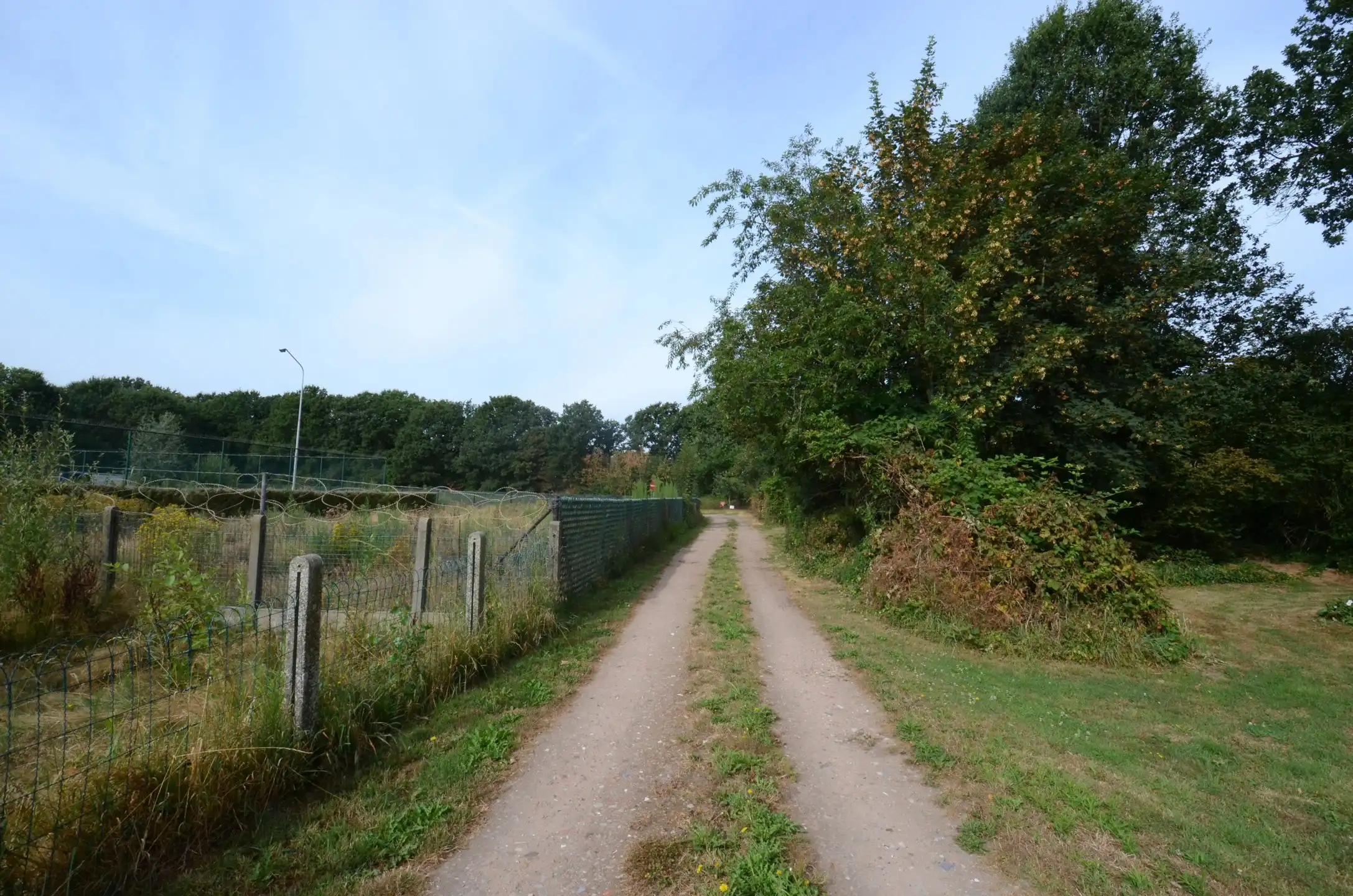 Mooi perceel weiland / bosgrond foto 2