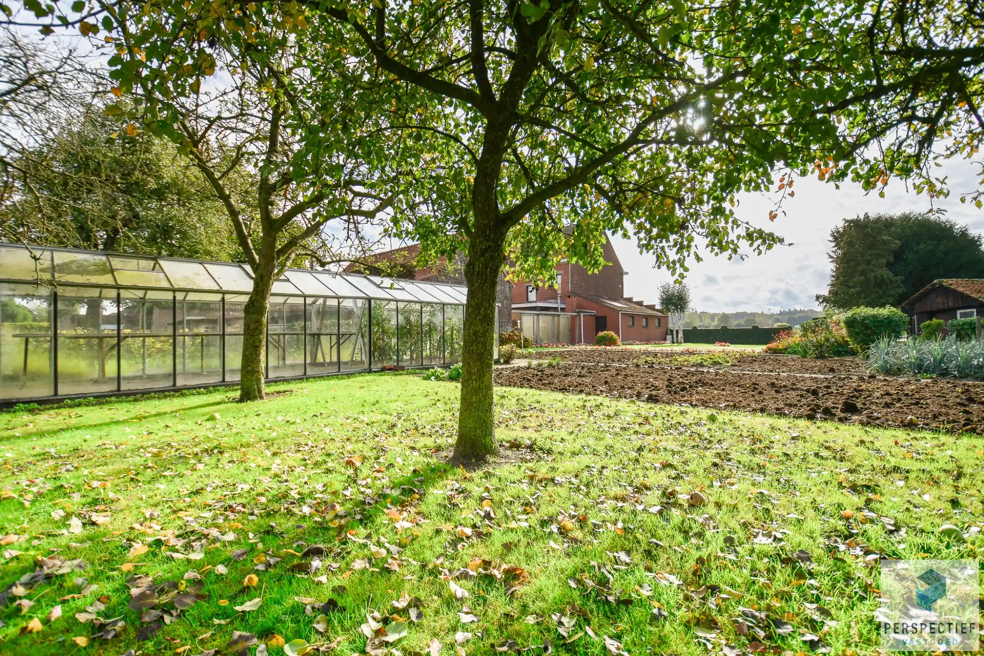 LANDELIJK GELEGEN WONING met SCHUUR  - BOOMGAARD - TUIN & MOESTUIN op 2138 m² foto 34