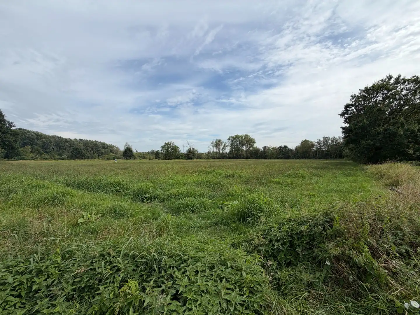 Boerderij te koop Elsenstraat 0 - 2400 Mol