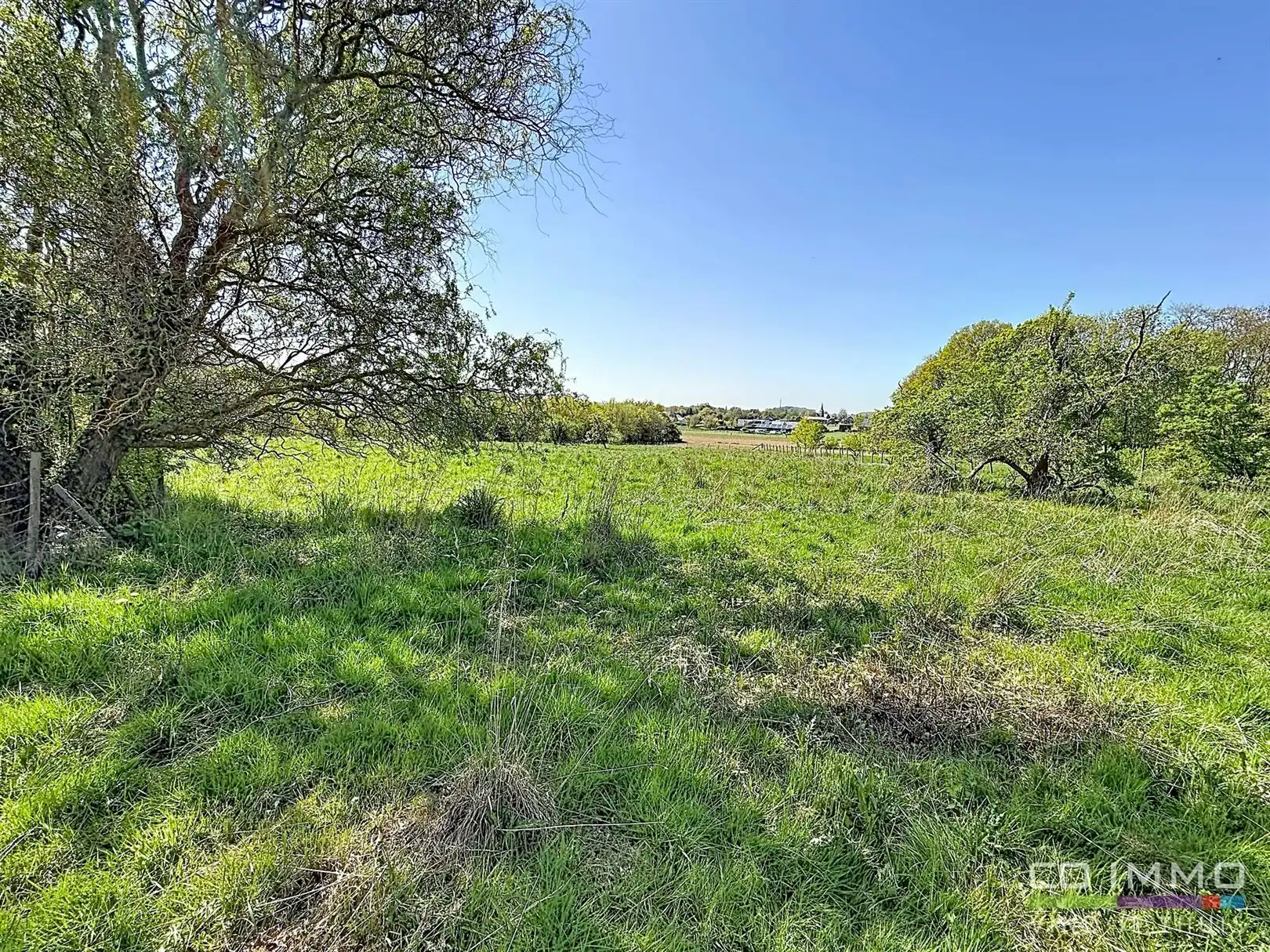 Karaktervolle woning, 4 slpks op een perceel van > 1 hectare foto 8