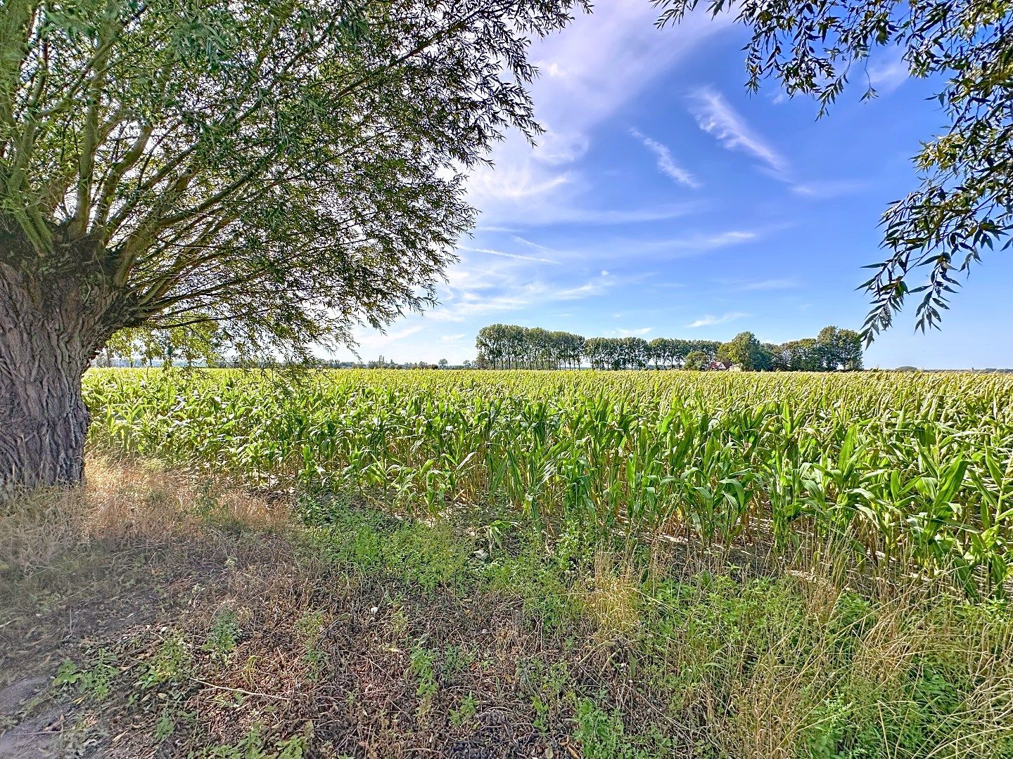 Ruim en modern wonen temidden van de polders foto 33