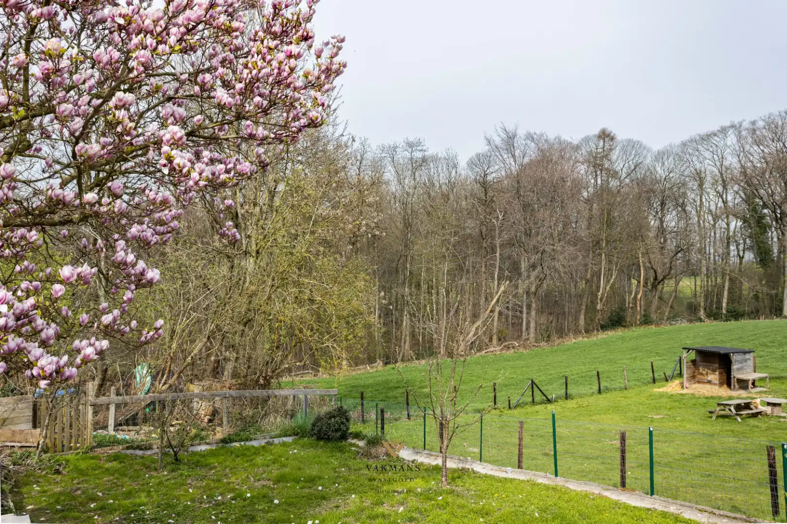 Ruime alleenstaande woning met garage in heuvelachtige omgeving foto 41