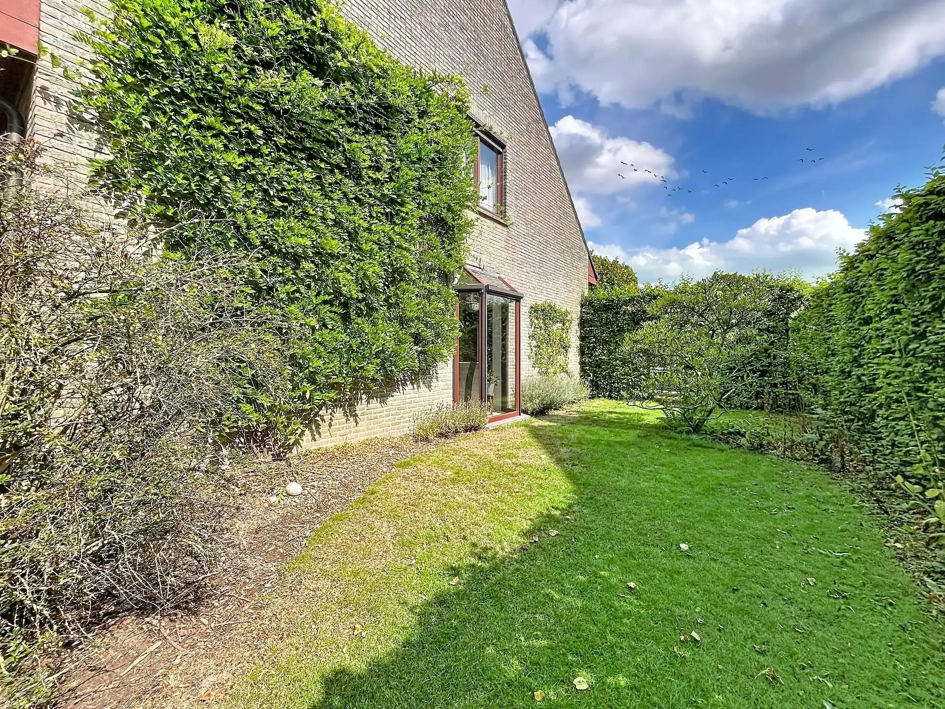 Recente open bebouwing met 5 slaapkamers! foto 24