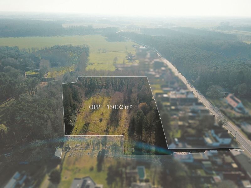 TE KOOP – Uniek stuk bouwgrond in de bossen van Lembeke – >15.000 m² foto 3