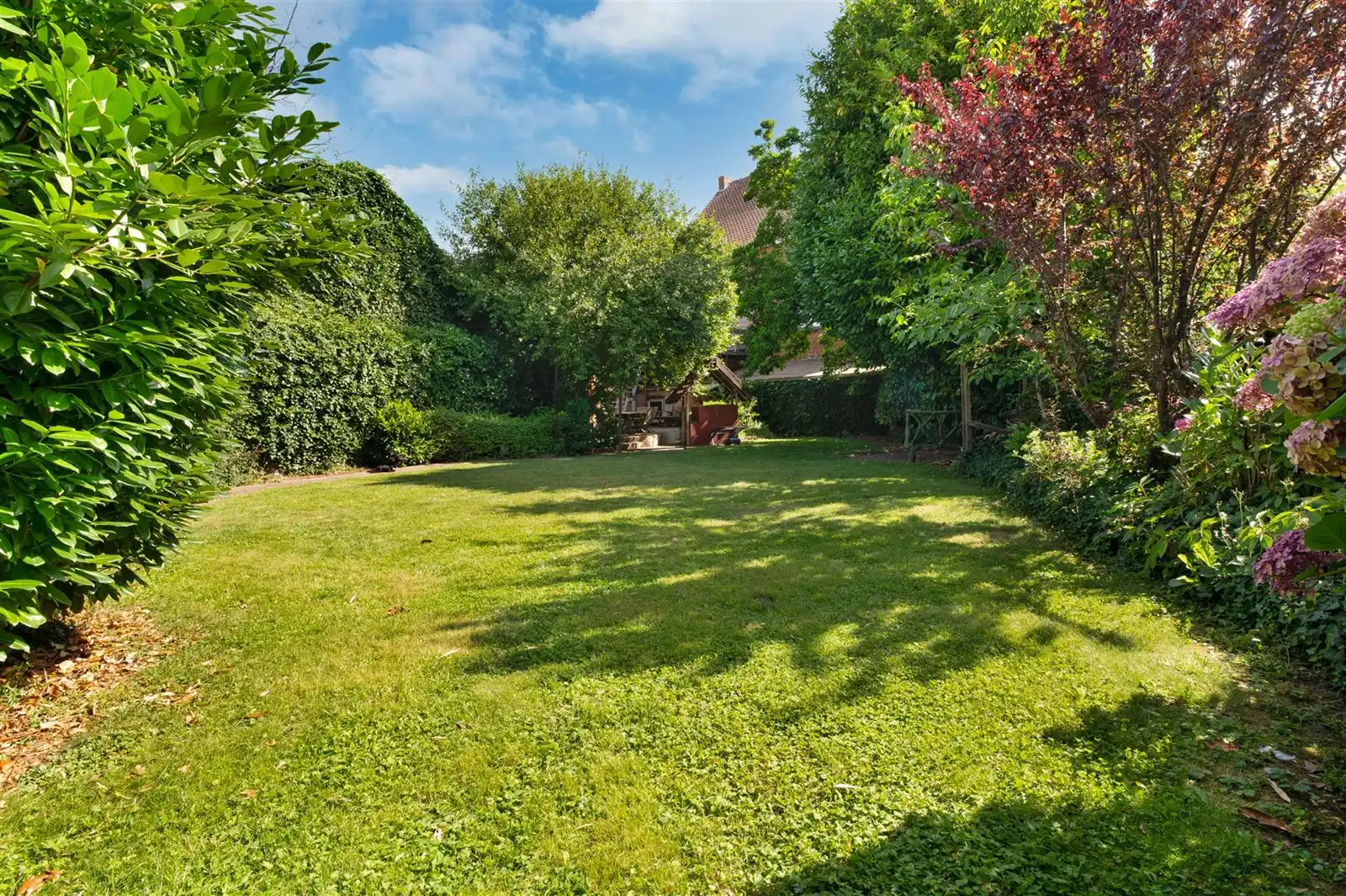 Herenwoning met mogelijkheid meergezinswoning of praktijk foto 4