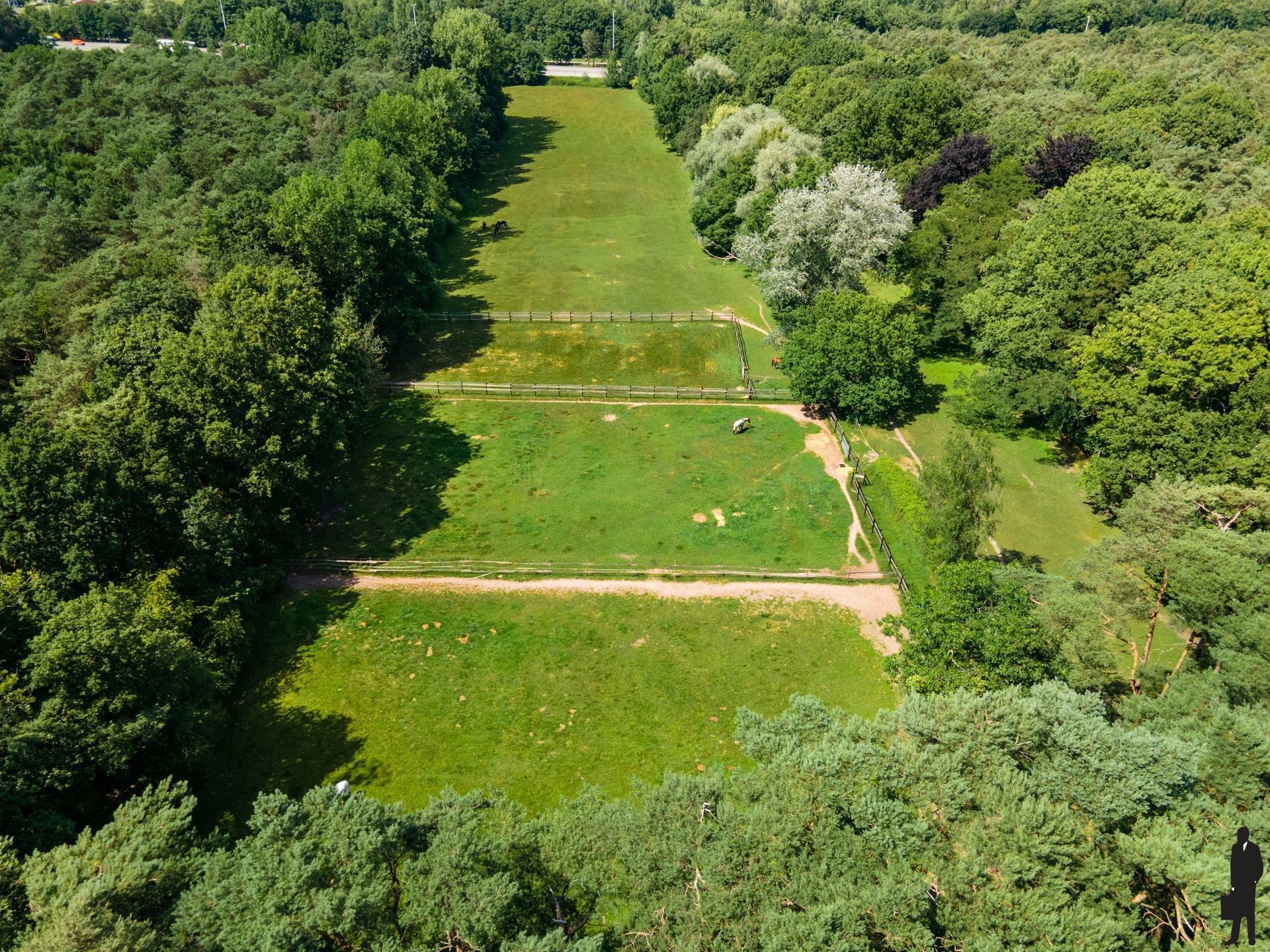 Riante hoeve op uitzonderlijk domein van bijna 10 ha foto 31