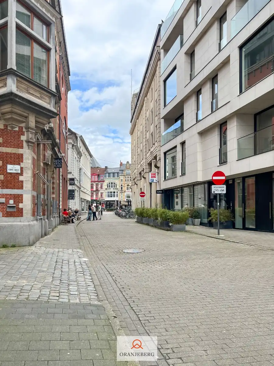 Prachtig gerenoveerd appartement in centrum Gent foto 34