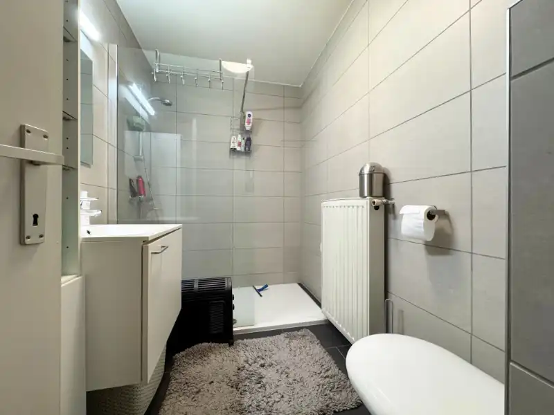 Mooie duplex met groot terras en carport in centrum Houthalen foto 10