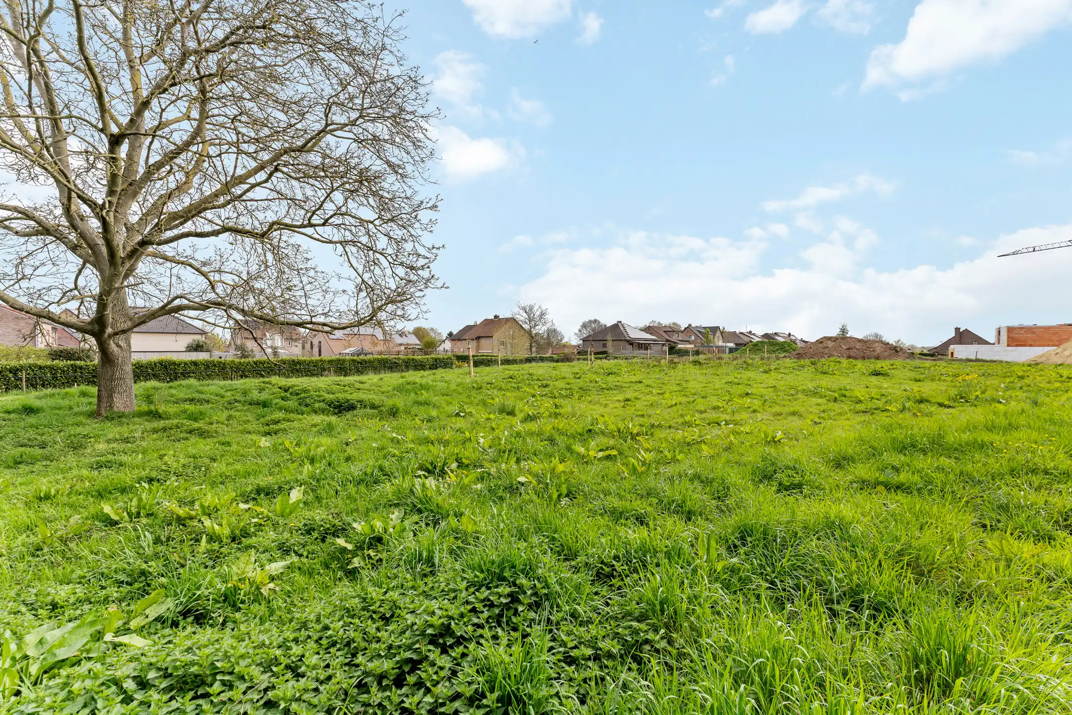 Riante HOB bouwgrond op 11a21ca te Riemst foto 10