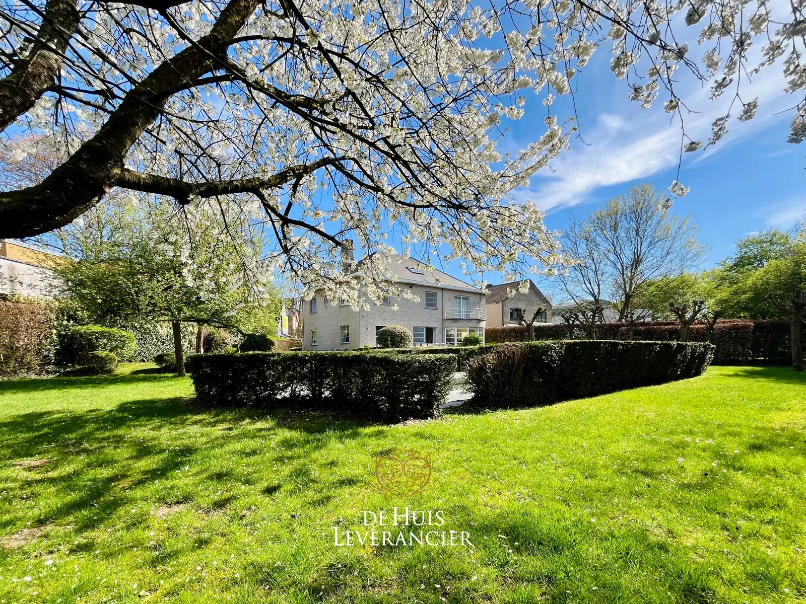 Exclusieve villa op uitzonderlijk perceel van 1 767 m², grenzend aan natuurgebied foto 4