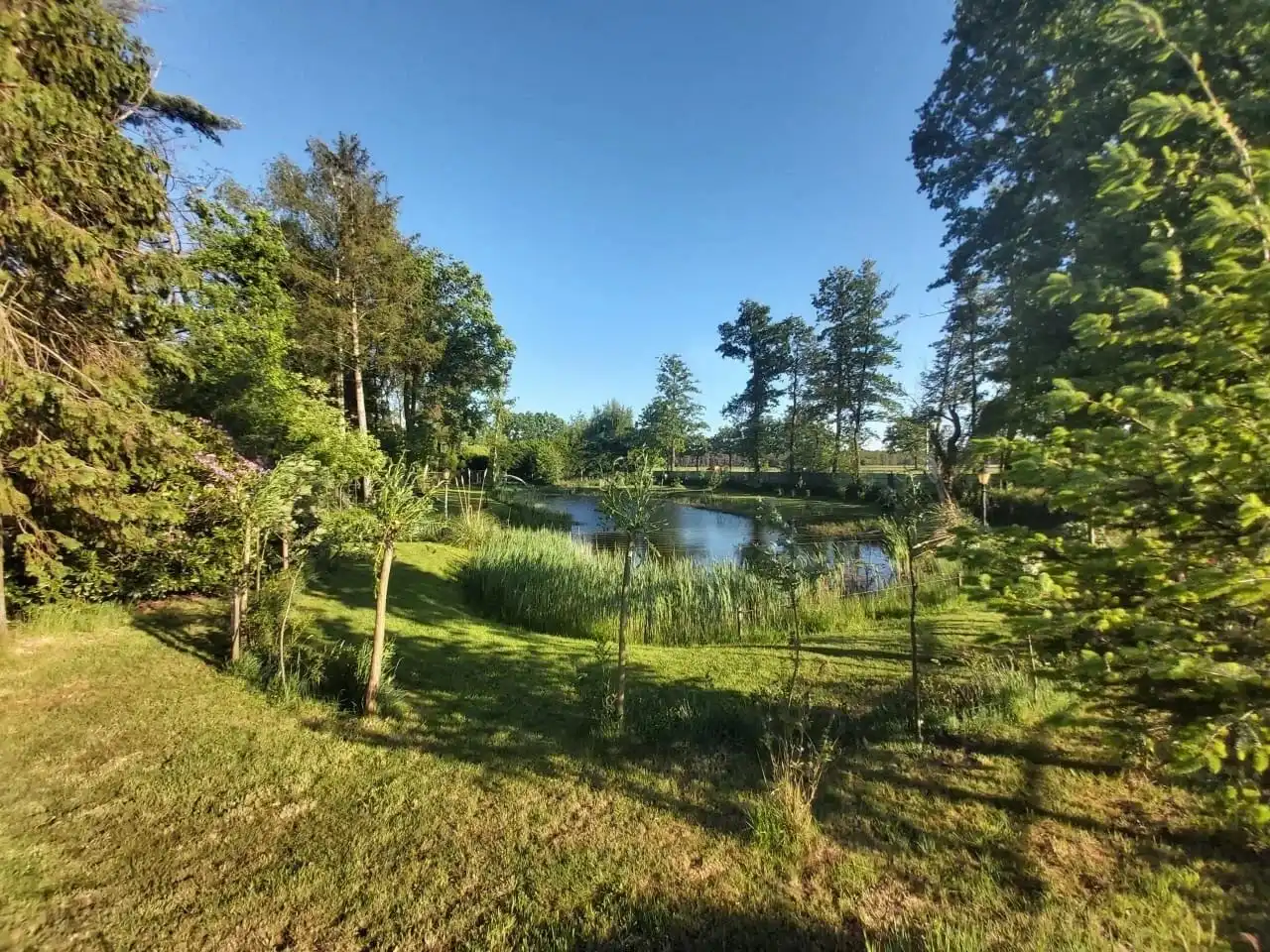 Uniek stuk recreatiegrond met vijver en bouwmogelijkheid – 2154 m². foto 10
