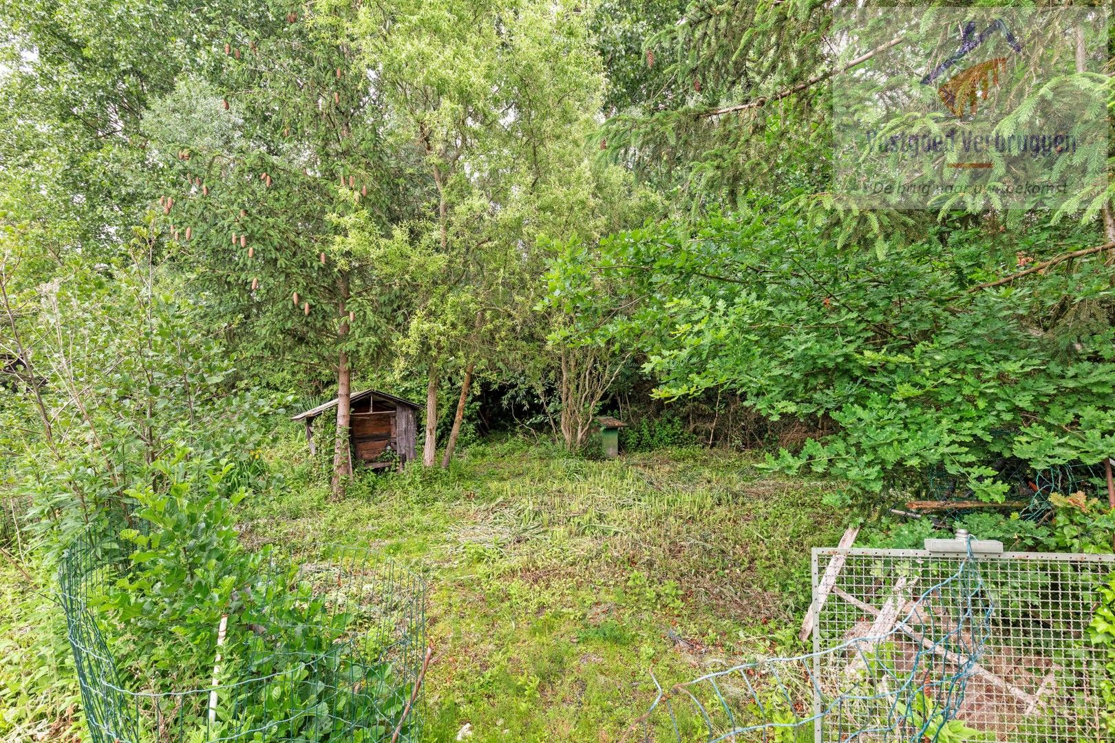 Rustig gelegen te renoveren halfopen bebouwing op ruim perceel van 16 are! foto 19