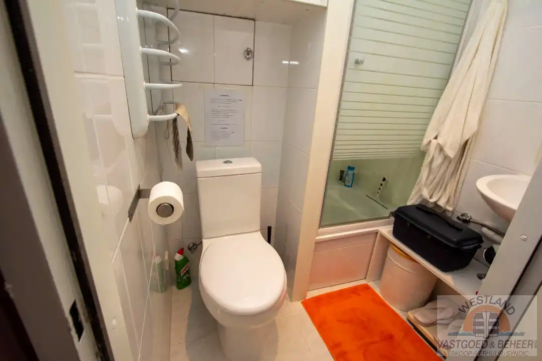 Instapklare, gerenoveerde studio in residentie Santhooft foto 7