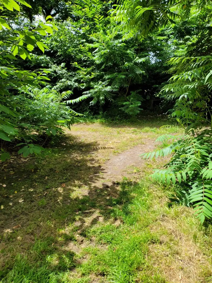 Huis te koop foto 32