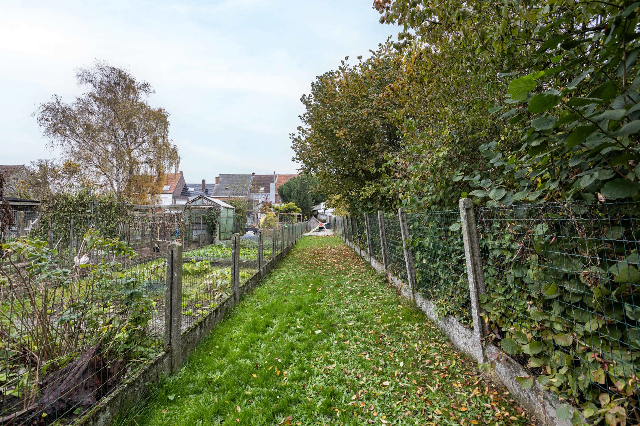 Gerenoveerde halfopen bebouwing op gunstige locatie  foto 17