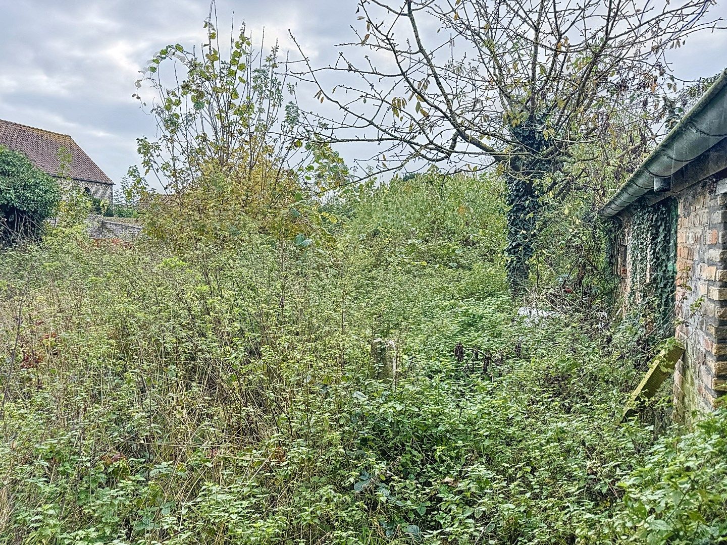 2 TE RENOVEREN WONINGEN MET TUIN foto 2