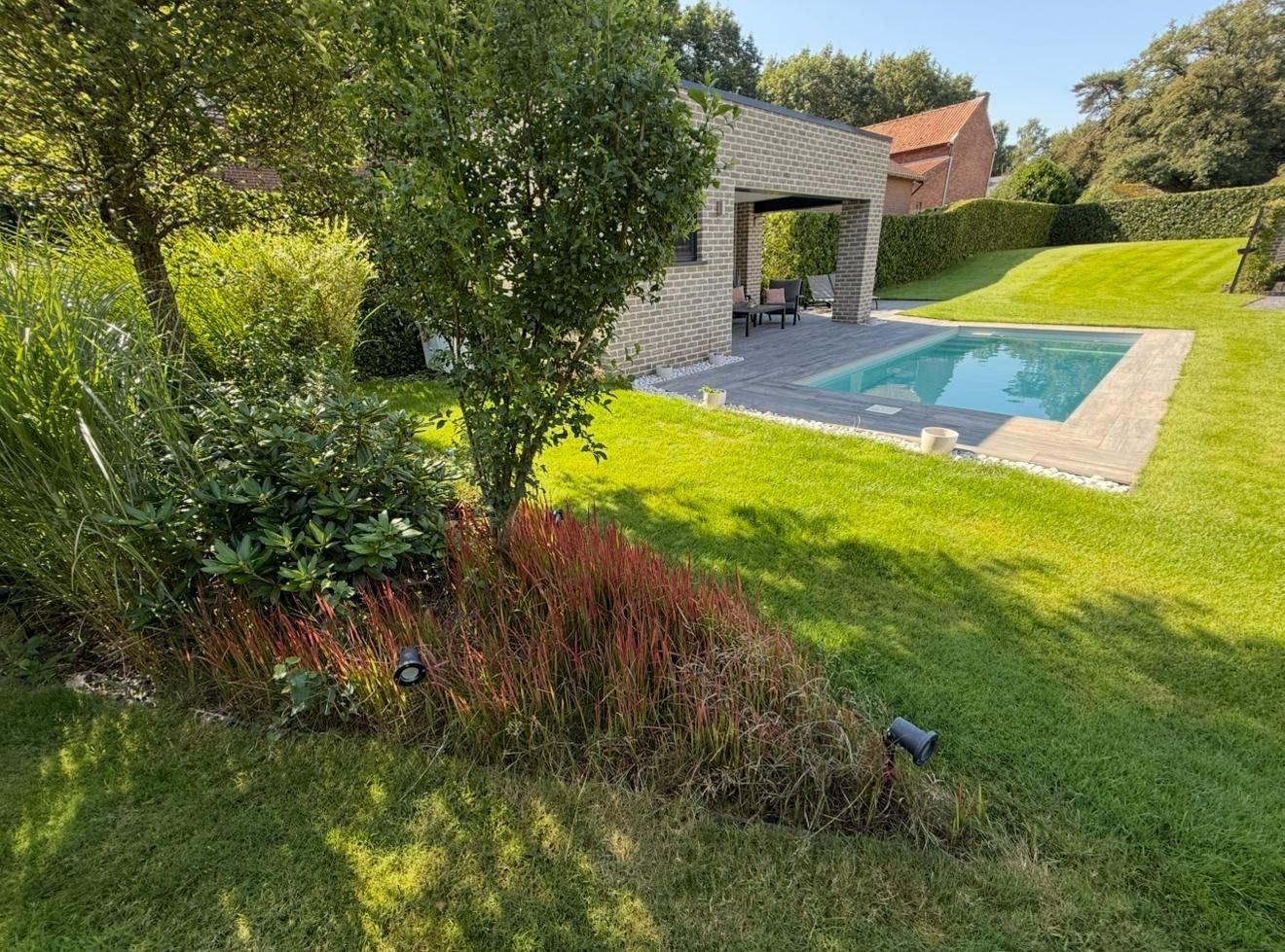 🌿 Bouwgrond met zwembad & poolhouse  in Zutendaal 🌿 foto 7