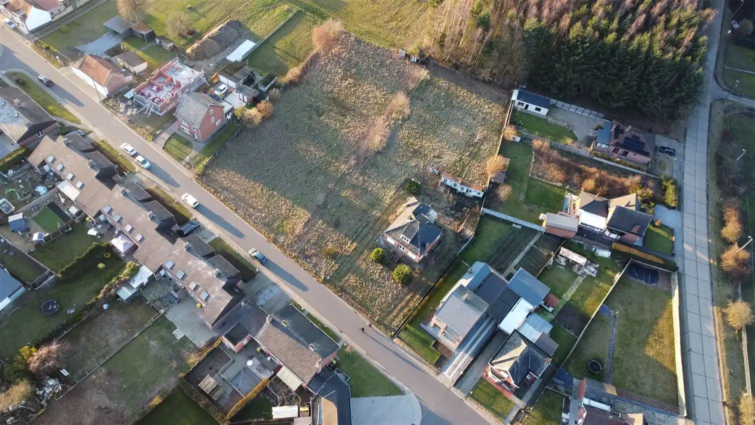 Project voor 2 HOB met weiland op 23are93 foto 33