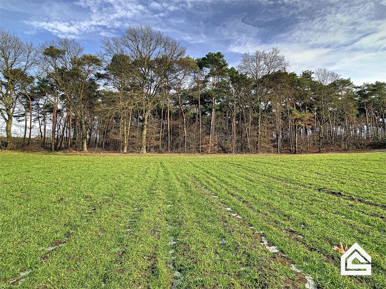 Perceel van 16.501m² aan de Kreyelerheide (bos in landschappelijk waardevol agrarisch gebied) foto {{pictureIndex}}