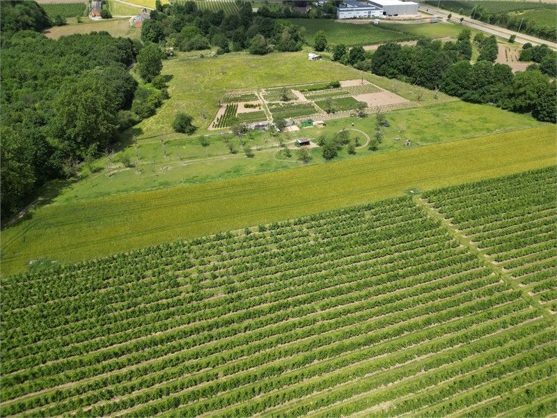 WEIDE VAN 1H5A68CA IN ORDINGEN foto 4