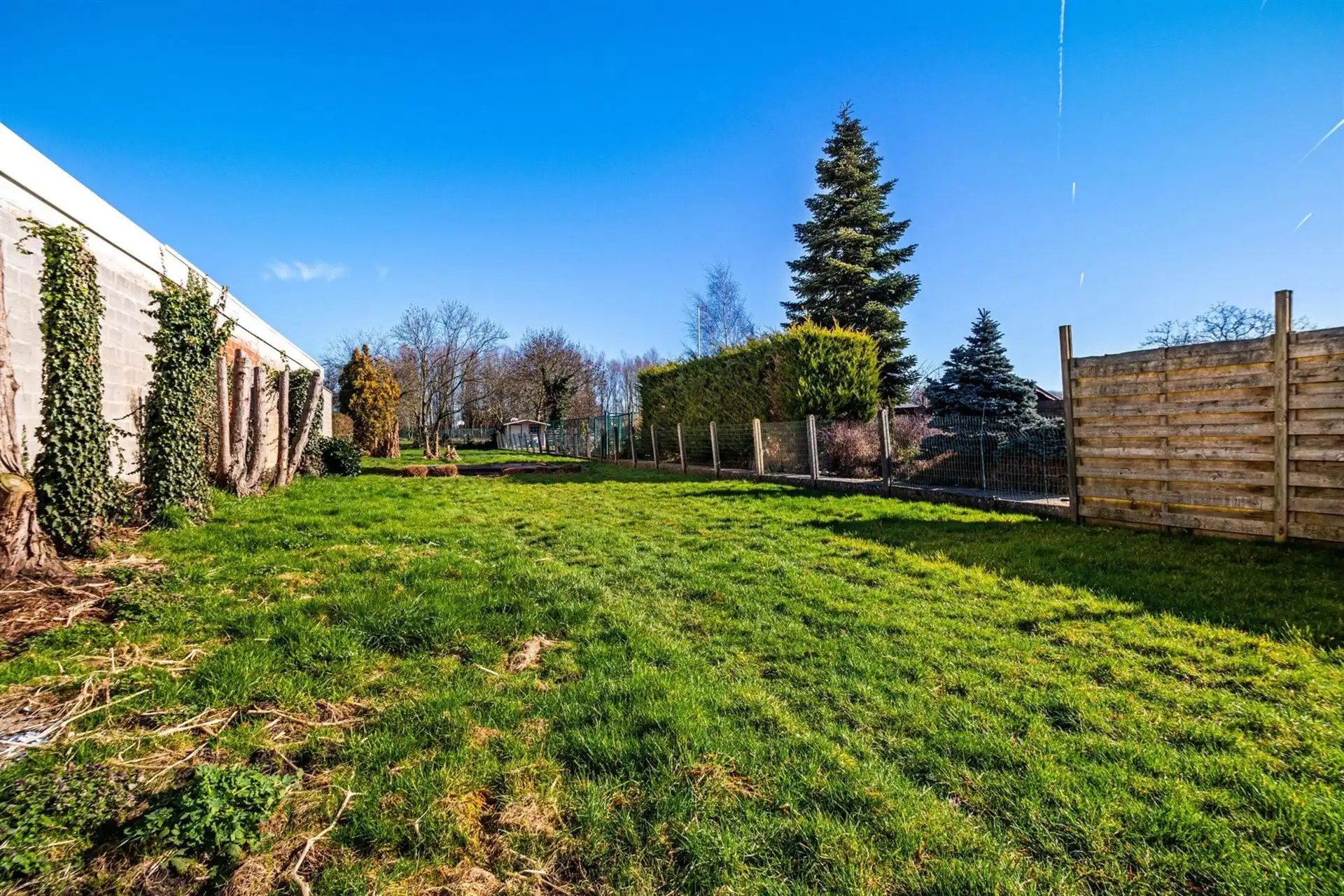 Renovatiewoning op 828 m² met potentieel in Duffel foto 4